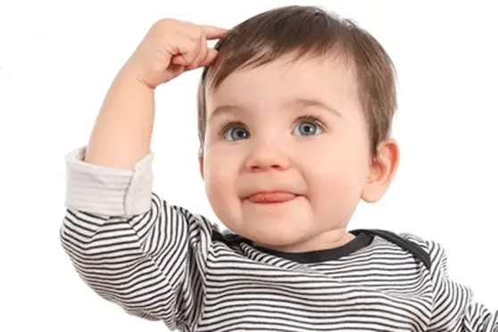 Gấu bông kể chuyện Tân Việt